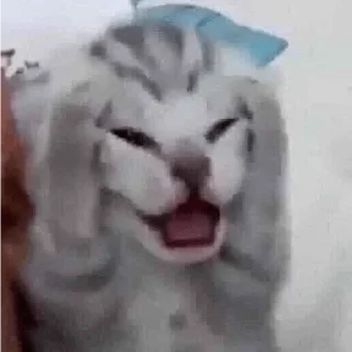 👹 emoji MFS | @bbkpack 👻 [нп] Telegram sticker 24 of 109