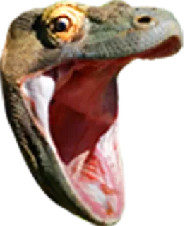 😂 emoji twitch Telegram sticker 8 of 18