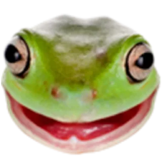 Sticker from twitch