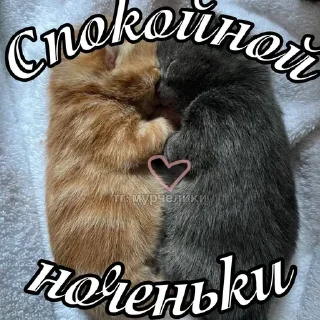😘 emoji @djieo Для важных переговоров!! Telegram sticker 7 of 60