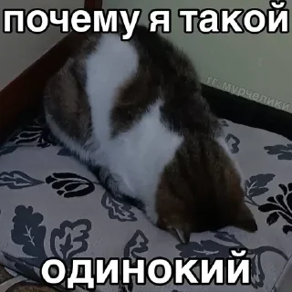 😢 emoji @djieo Для важных переговоров!! Telegram sticker 6 of 60