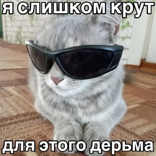 Sticker from @djieo Для важных переговоров!!
