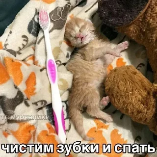 😘 emoji @djieo Для важных переговоров!! Telegram sticker 23 of 60