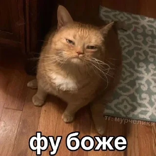👎 emoji @djieo Для важных переговоров!! Telegram sticker 19 of 60