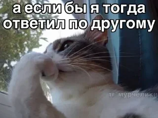😢 emoji @djieo Для важных переговоров!! Telegram sticker 5 of 60