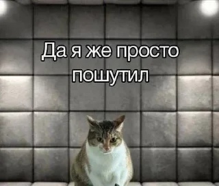 😬 emoji @djieo Для важных переговоров!! Telegram sticker 21 of 60