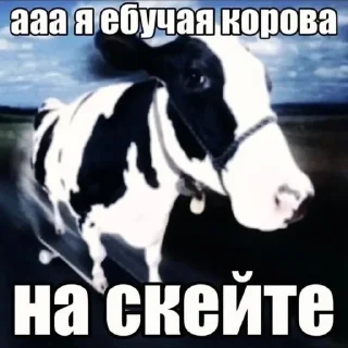 Sticker from для крутых чуваков