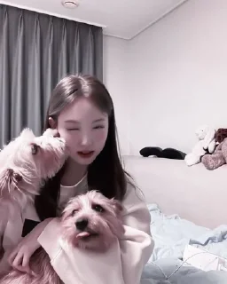 Sticker from Nayeon