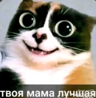 😛 emoji КУКИ Telegram sticker 24 of 51