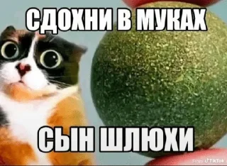 🌟 emoji КУКИ Telegram sticker 11 of 51