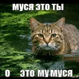 😛 emoji КУКИ Telegram sticker 15 of 51