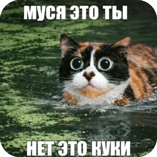 Sticker from КУКИ