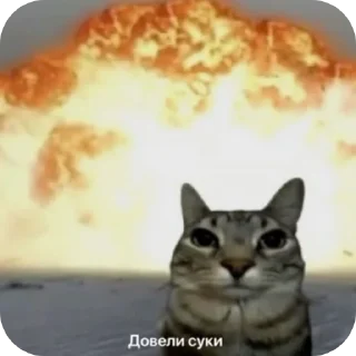 Sticker from котэкэ