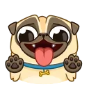 Sticker from Penny Pug