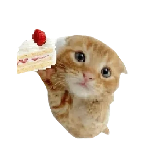 🍰 emoji @SYKOWWW Telegram sticker 8 of 55