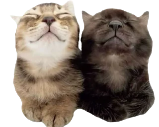 ❤️ emoji @SYKOWWW Telegram sticker 7 of 55