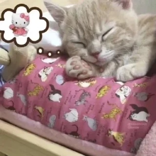 😴 emoji @SYKOWWW Telegram sticker 14 of 55