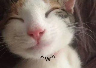 ☺️ emoji @SYKOWWW Telegram sticker 22 of 55