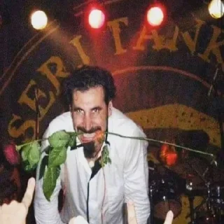 🌹 emoji @stdbmrk system of a down Telegram sticker 7 of 28