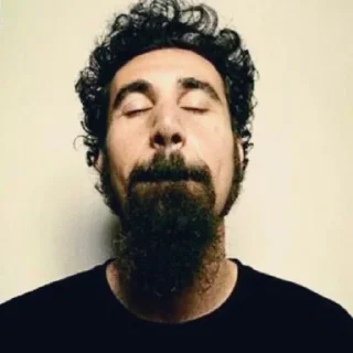 Sticker from @stdbmrk system of a down