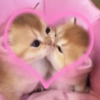 Sticker from кэты от ёжпы @imyozhik