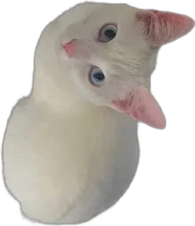 🌟 emoji Классные стикеры Telegram sticker 5 of 10