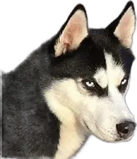 🌟 emoji Классные стикеры Telegram sticker 10 of 10