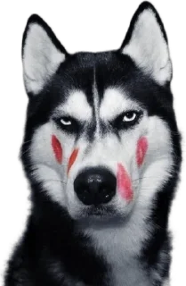 🌟 emoji Классные стикеры Telegram sticker 9 of 10