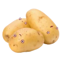 Sticker from Sweet potatos