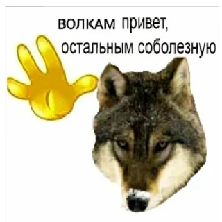 Sticker from На случай важных переговоров