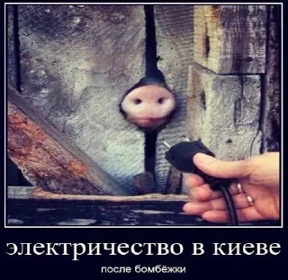 Sticker from Слава России