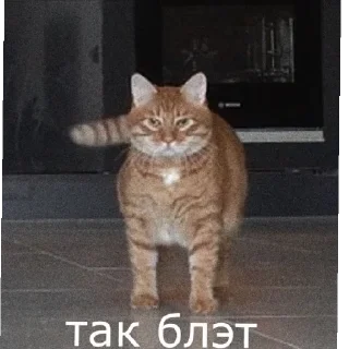 Sticker from //Броен\\