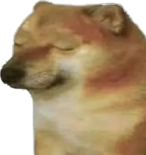 😢 emoji прикольчики от полечки Telegram sticker 14 of 116