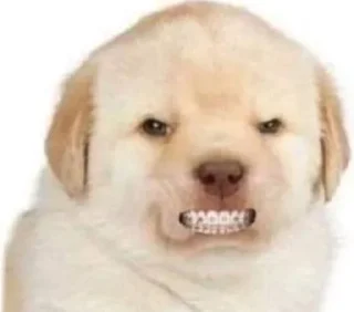 😠 emoji прикольчики от полечки Telegram sticker 12 of 116