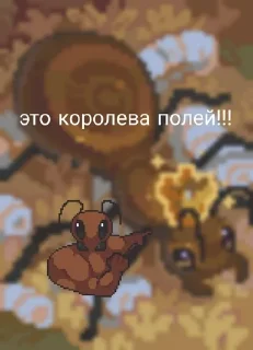 😱 emoji Ant colony meme forests Telegram sticker 12 of 89