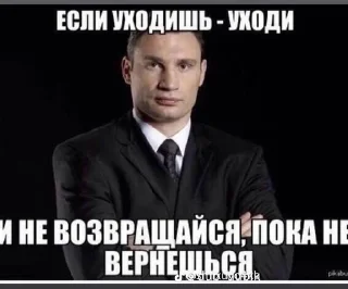 🇺🇦 emoji #Єнот Telegram sticker 12 of 12