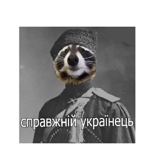 😐 emoji ЄНОТ Telegram sticker 10 of 13