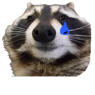 😐 emoji ЄНОТ Telegram sticker 11 of 13