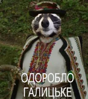 😎 emoji ЄНОТ Telegram sticker 12 of 13