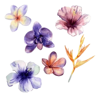 Sticker from @wisdom_droplets Flowers — @stckrRobot
