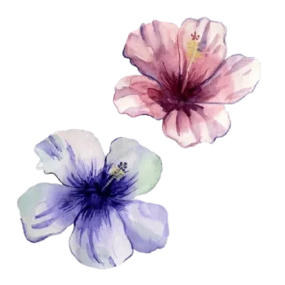 Sticker from @wisdom_droplets Flowers — @stckrRobot
