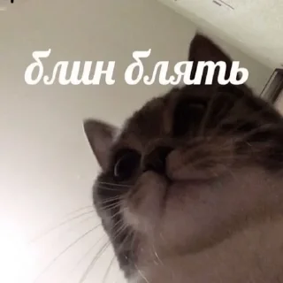 Sticker from грустно