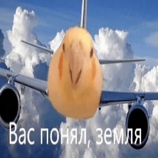 Sticker from грустно