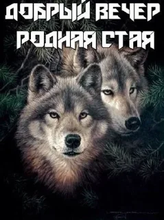 🌟 emoji Больше стикеров 👉🏻 @stickertg4 Telegram sticker 5 of 67