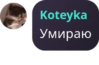 💀 emoji ЛОЛОЛОШКАЧАТ😱😱😱 Общайтесь,  pack by @QuotLyBot Telegram sticker 18 of 29
