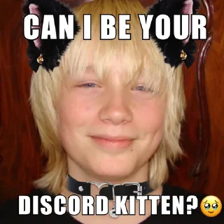 🐱 emoji JoostKlein Telegram sticker 18 of 64