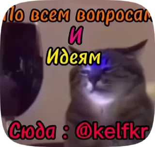 Sticker from Стикеры👉 @stikeru7777