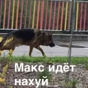 Sticker from Макс, иди нахуй