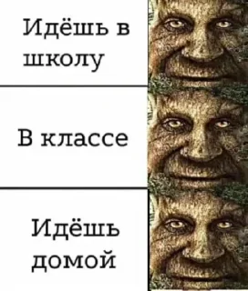 Sticker from Мудрый дуб