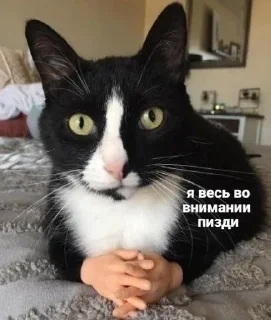 😗 emoji Жизнь - она такая... Telegram sticker 8 of 23
